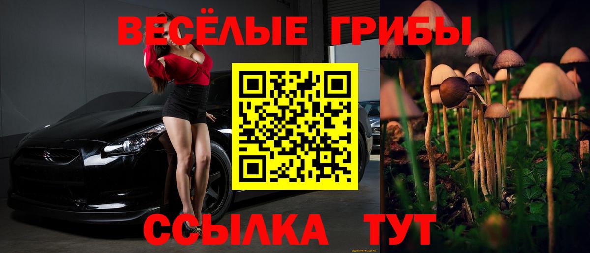 Галлюциногенные грибы мухоморы  Вход с VPN  Сызрань 